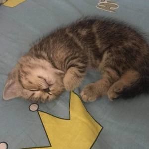 Meet your Posher, Ngân